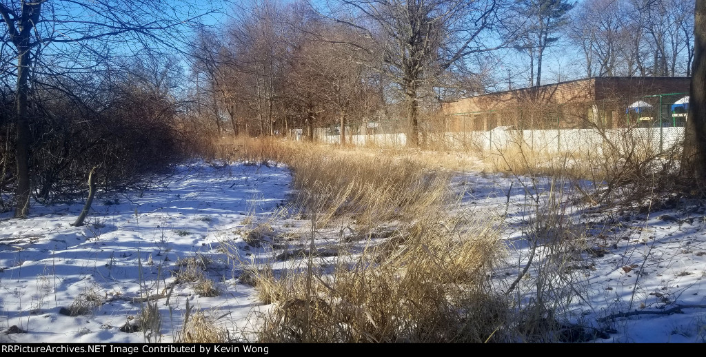 Overgrown trackage at former Sperry Rail Service (SRS) shop